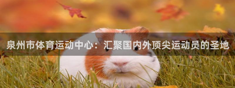 米兰体育下载：泉州市体育运动中心：汇聚国内外顶尖运动员的圣地