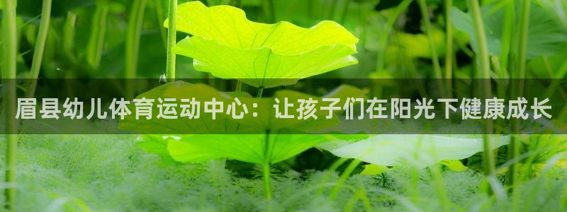 米兰体育场：眉县幼儿体育运动中心：让孩子们在阳光下健康成长
