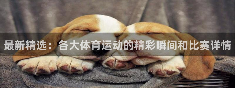 米兰体育怎么样：最新精选：各大体育运动的精彩瞬间和比赛详情