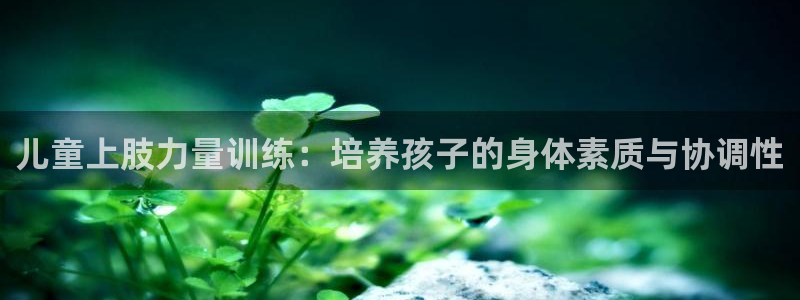 米兰体育靠谱吗：儿童上肢力量训练：培养孩子的身体素质与协调性