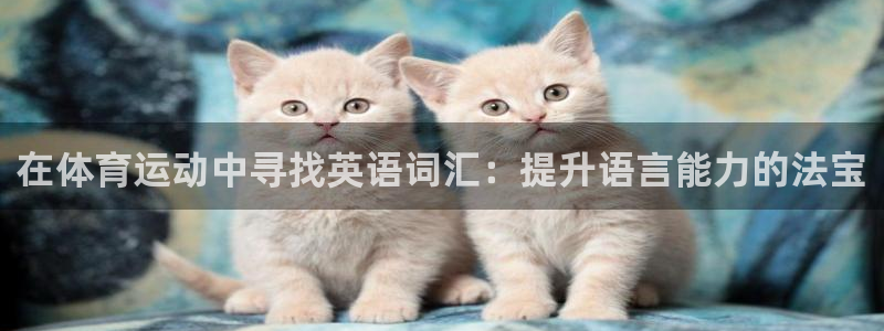 米兰体育入口：在体育运动中寻找英语词汇：提升语言能力的法宝