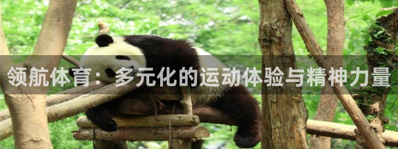 米兰体育登录：领航体育：多元化的运动体验与精神力量