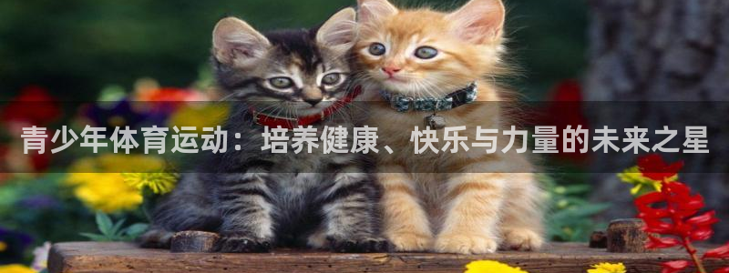 米兰体育场：青少年体育运动：培养健康、快乐与力量的未来之星