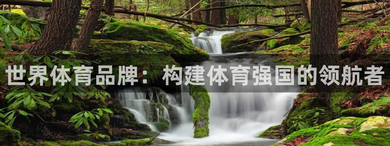 米兰体育.：世界体育品牌：构建体育强国的领航者